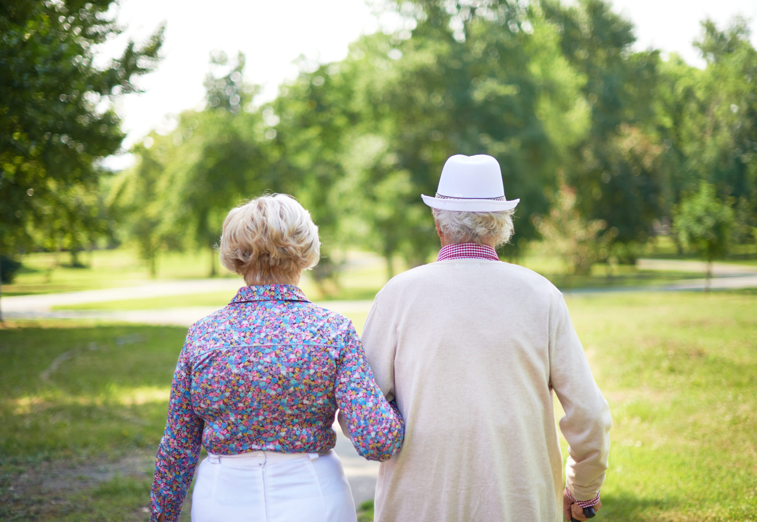 Back view of serene senior couple taking a walk in the park